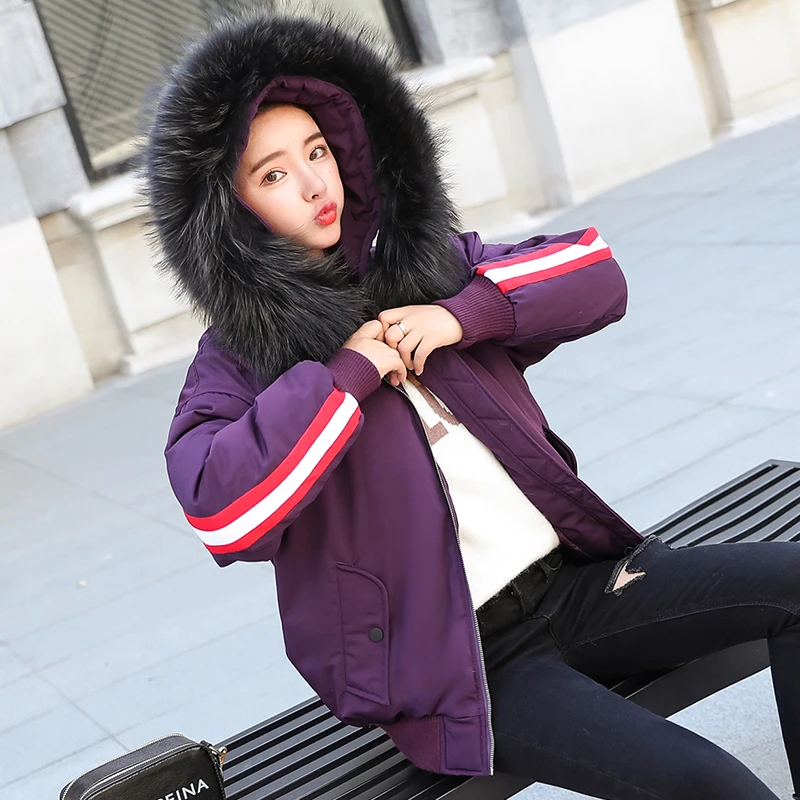 2018 Для женщин куртка с большой меховой воротник капюшоном на молнии пальто