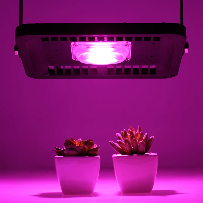 Светодиодный Grow светильник полный спектр потока светильник 30W 50W 100W 110V220V COB Чип для внутреннего и наружного спорта Hydroponice завод рассады для роста растений
