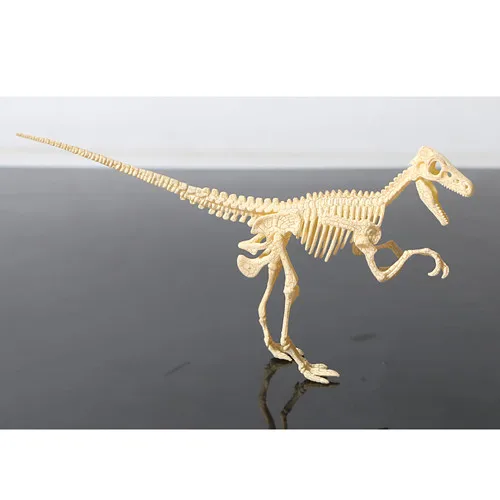 3D DIY динозавр Скелет собранные модели игрушки, 3d раскопки наборы для копания серии мини Трицератопс/Стегозавр/Велоцираптор головоломка игрушка - Цвет: velociraptor
