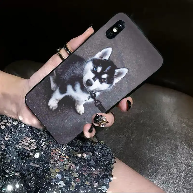 Babaite Animal dog husky Soft Silicone black Phone Case for Apple iPhone 8 7 6 6S Plus X XS MAX 5 5S SE XR Cover | Мобильные