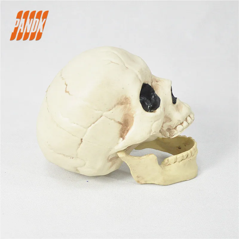 Хэллоуин Череп Пластик жизни Размеры реалистичные череп Опора страшные