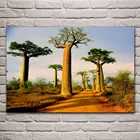 Картина с изображением природного пейзажа baobabs, проспекта морондава, Мадагаскар, настенные постеры, для украшения дома, гостиной, спальни KC423
