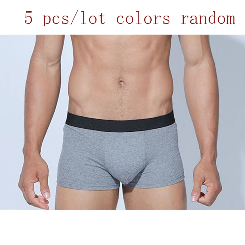 5pcs color random 5 шт./лот, хлопок, нижнее белье для мужчин, боксеры, одноцветные трусы для мужчин, мягкое дышащее Мужское нижнее белье, модные боксеры - Цвет: 5pcs color random