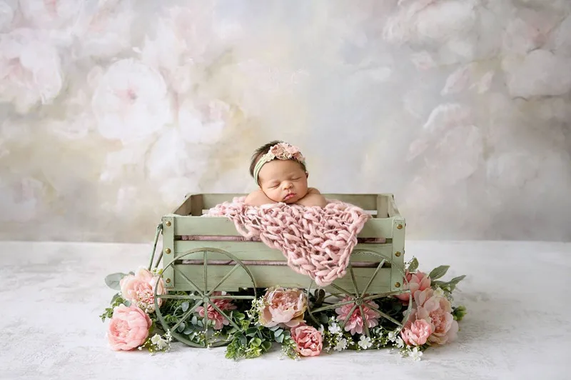 newborn photography props cart baby photography personality creative modeling car baby crib accessories