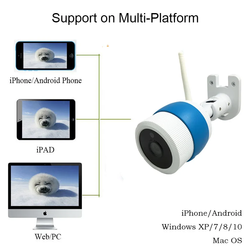 Открытый IP Камера Ночное видение водонепроницаемый IP66 охранных поддержка SD карт