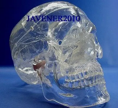 Каркасная медицинская модель с черепом анатомическая голова человека