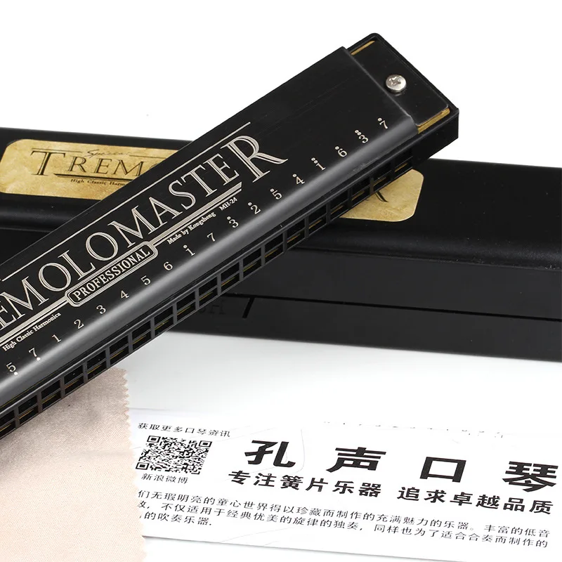 

24 Hole Tremolo C Tone Adult Students Playing Beginners Introduction Harmonica