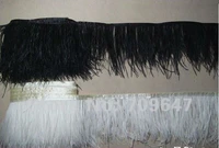 2meterslot 6 8 ostrich feather trim ostrich feather fringe blackwhite colour availablefeathers for crafts