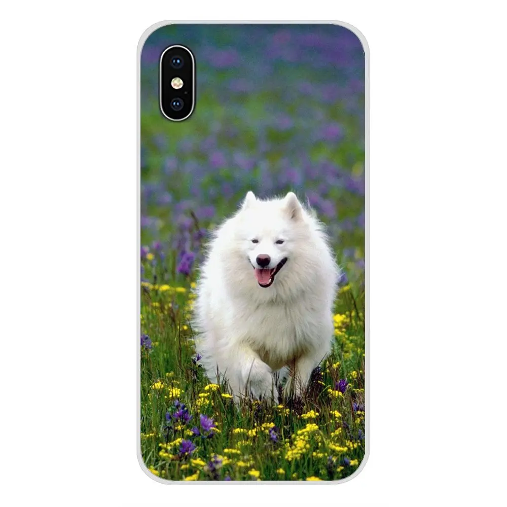 Для Apple iPhone X XR XS MAX 4 4S 5 5S 5C SE 6 6S 7 8 Plus ipod touch Аксессуары чехлы для телефонов Samoyed puppy dog