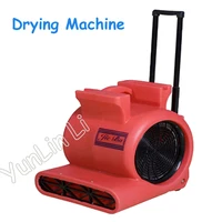 Strong Three-Speed Drying Machine Electric Carpet Cleaning and Drying Machines with Pull Rod Dehumidifier 220V BF535