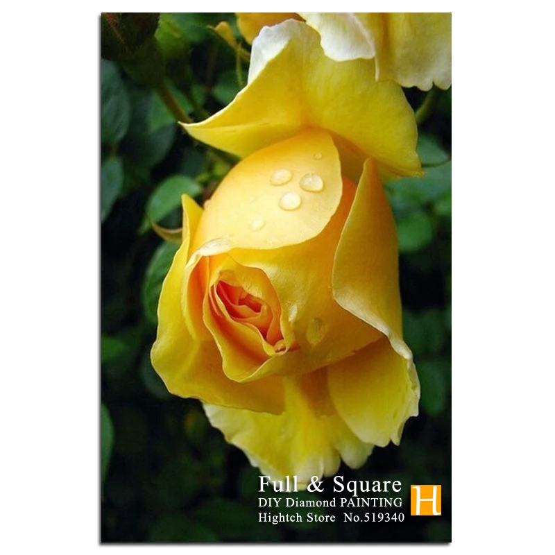 Новый 5D СДЕЛАЙ САМ Алмаз Живопись Вышивка Романтический Желтая Роза Полный