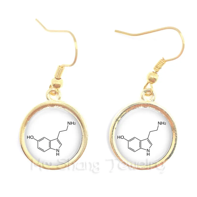 

Theobromine Biology Chemistry Element Chemical Formula Earrings For Women Biochemistry Chocolate Molecule Image Creative Gift