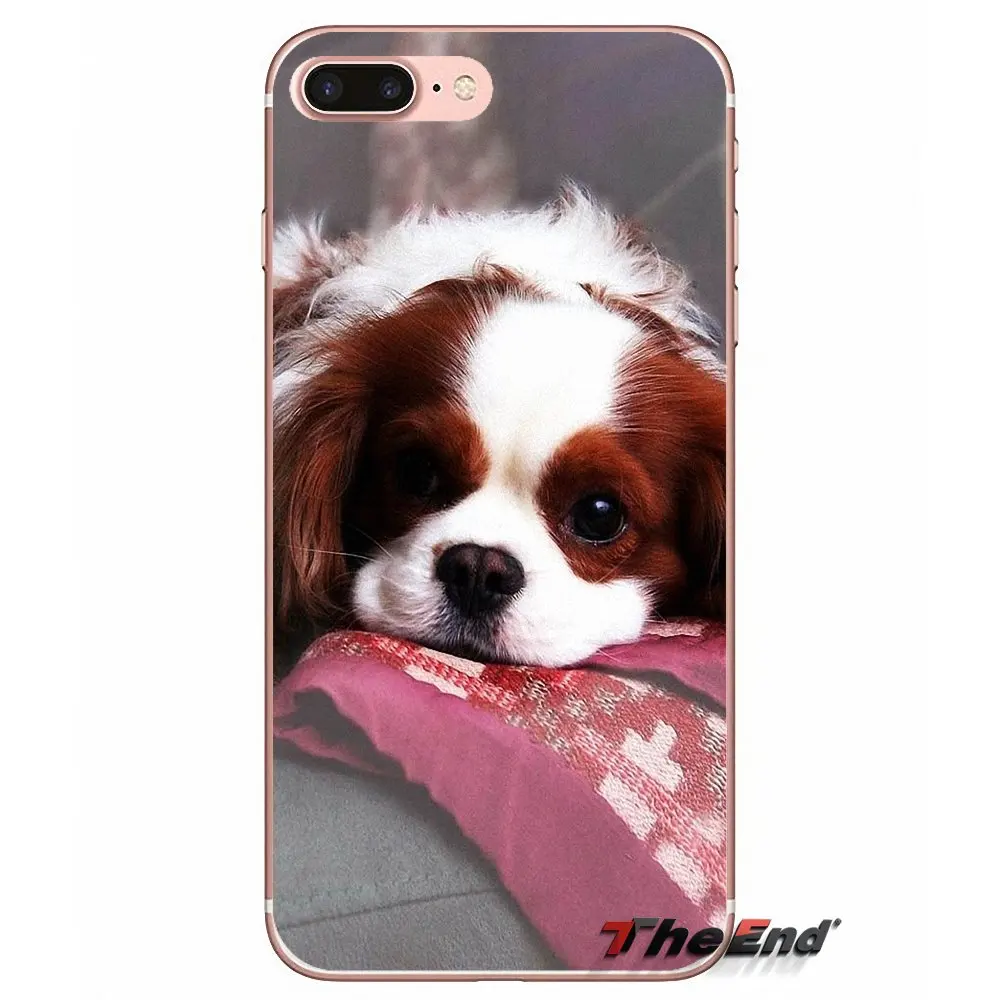 TPU чехол кавалер Кинг чарльз спаниель Собака Щенок для Apple iPhone X 4 4S 5 5S SE 5C 6 6s 7 8 плюс