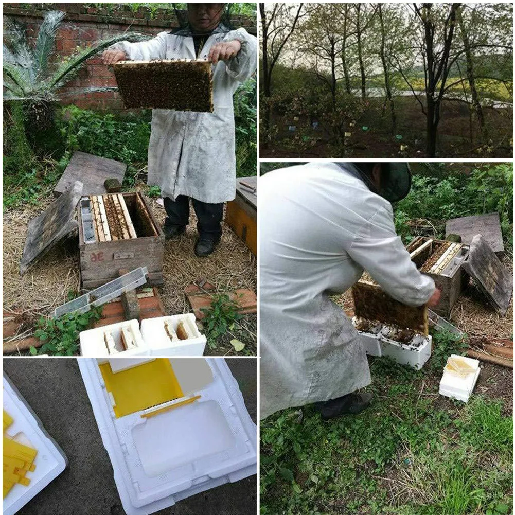 Домашний улей коробка для сбора урожая пчелиный улей Пчеловодство королевская коробка для опыления пчеловодства инструмент для сбора урожая пчелиный улей твердый кедр