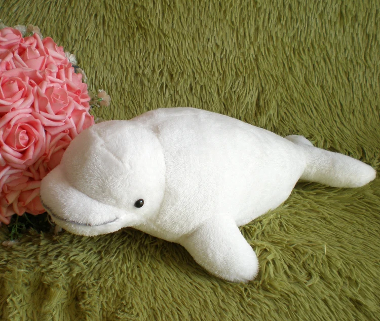 

small size new plush whale doll stuffed white whales toy gift about 40cm