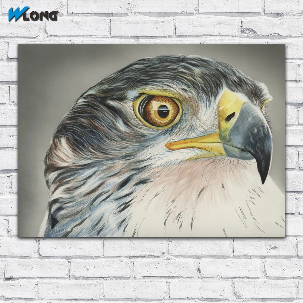 large size Printing Painting Art Birds Hawk Head Beak art Picture Home Decor Living Room Modern Canvas Print Paintings no frames | Дом и сад
