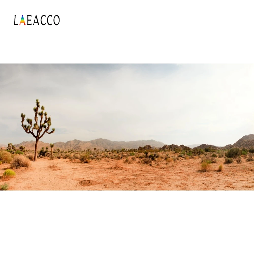 Laeacco фоновая фотография на заднем фоне с растениями пустыни кактуса | Электроника