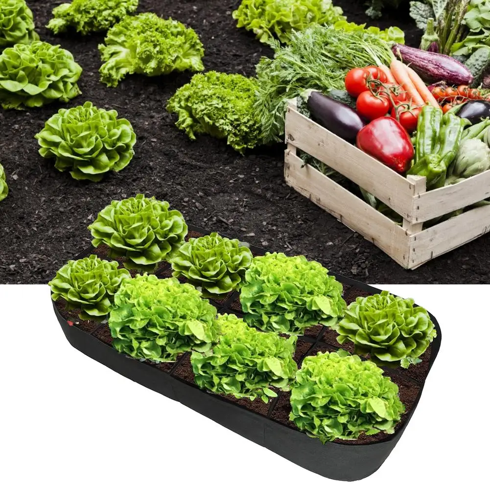 Поднятая кровать сада расположенных 8 сетки ткань поднятый посадки детская