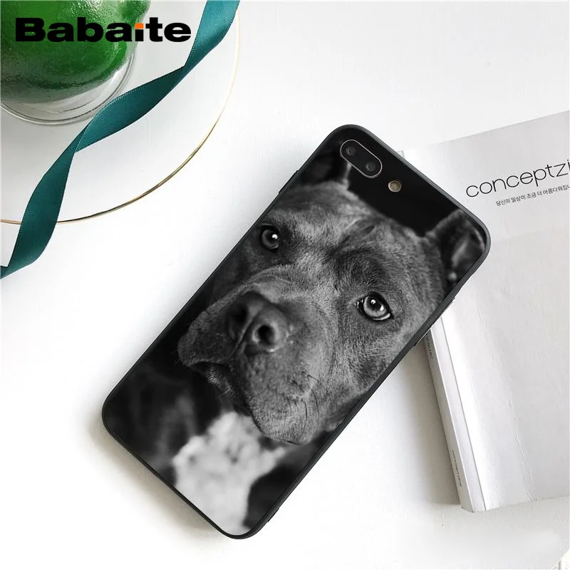 Питбуль прекрасная собака защитный чехол для телефона Fundas iphone 12 11 Pro Max 8 7 6 6S Plus X XS