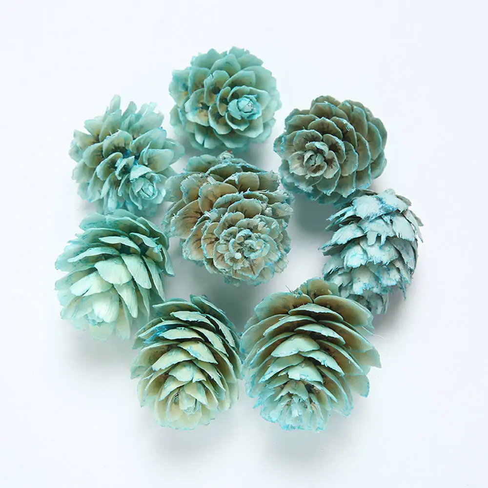Tiffany Blue 20 шт., цветные сосновые конусы, Натуральные сушеные цветы, сделай сам, рукоделие, венок, подарок для скрапбукинга, свадебные, рождественские украшения, искусственные цветы - Цвет: Tiffany Blue
