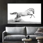 Новая объемная белая живопись на холсте с изображением лошади, современные постеры с изображением диких животных, настенные художественные картины с принтом для декора гостиной