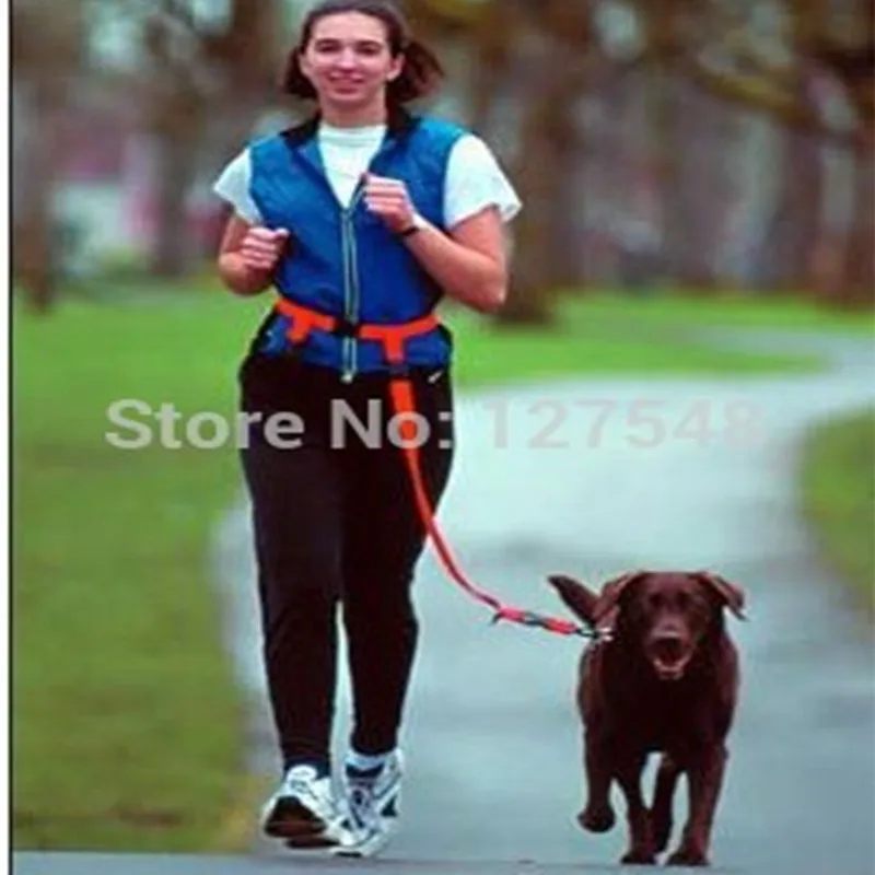 Регулируемый поводок для собак 7 цветов бега пеших прогулок бега|dog lead|hands free leashleash