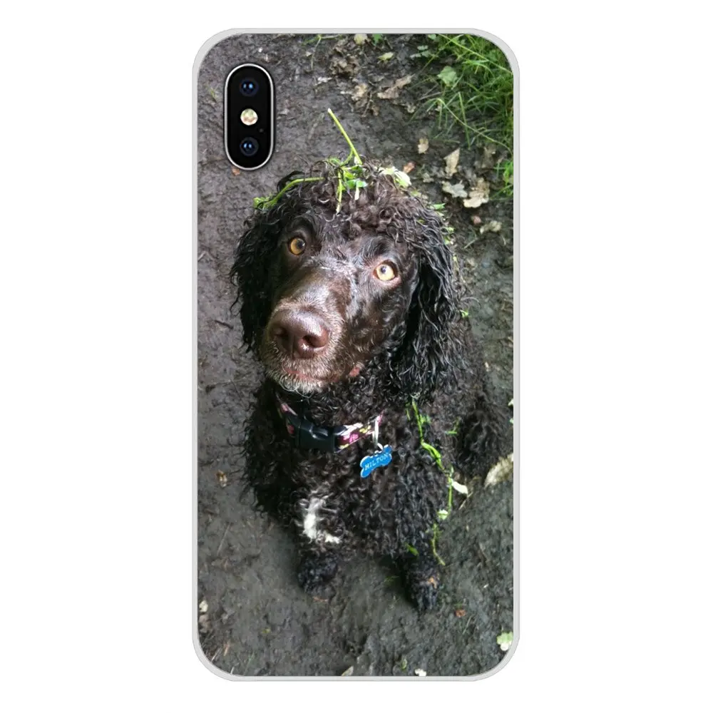 Чехол с рисунком ирландской воды спаниеля из ТПУ для Apple iPhone X XR XS MAX 4 4S 5 5S 5C SE 6 6S 7 8