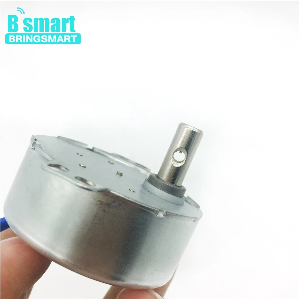 BringSmart 5-24 в 110 В 220 В низкая скорость 1,4-60 об./мин ремесло повернуть выставка вентилятор микроволновая печь шестерни AC синхронный двигатель для DIY части