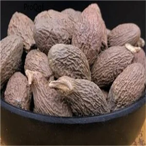 SEMEN STERCULIAE Ngrise 50 gram набор acantopanax Benzoin Cnidium Coydalis Curcuma cynancum Cyperus Dioscorea eupatrium Gynostemma Lysimachia - Цвет: SEMEN STERCULIAE