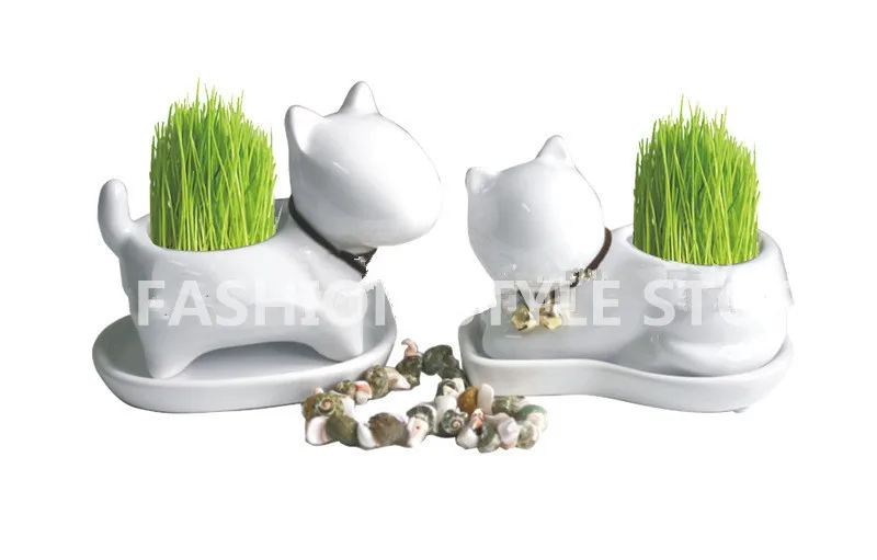 2017 мода милый отдел животных свежие керамические горшки мини суккуленты в горшке