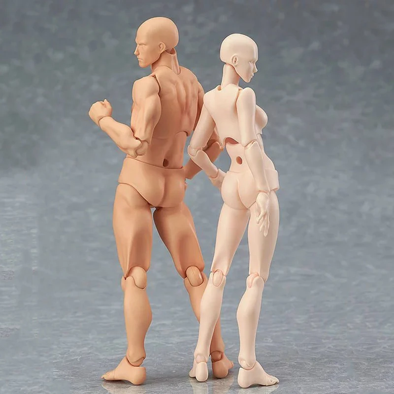 

Anime Archetype Figma He She PVC Action Figure Human Body Joints Male Female Lover Nude Movable Dolls 14.5cm Models Collections