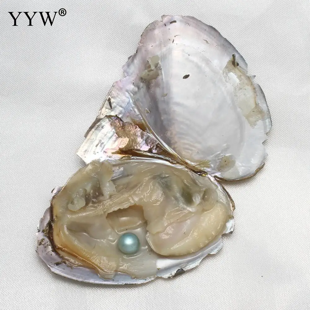 5 шт./лот Пресноводный Культивированный Жемчуг Love Wish Oyster Shell смешанный цвет