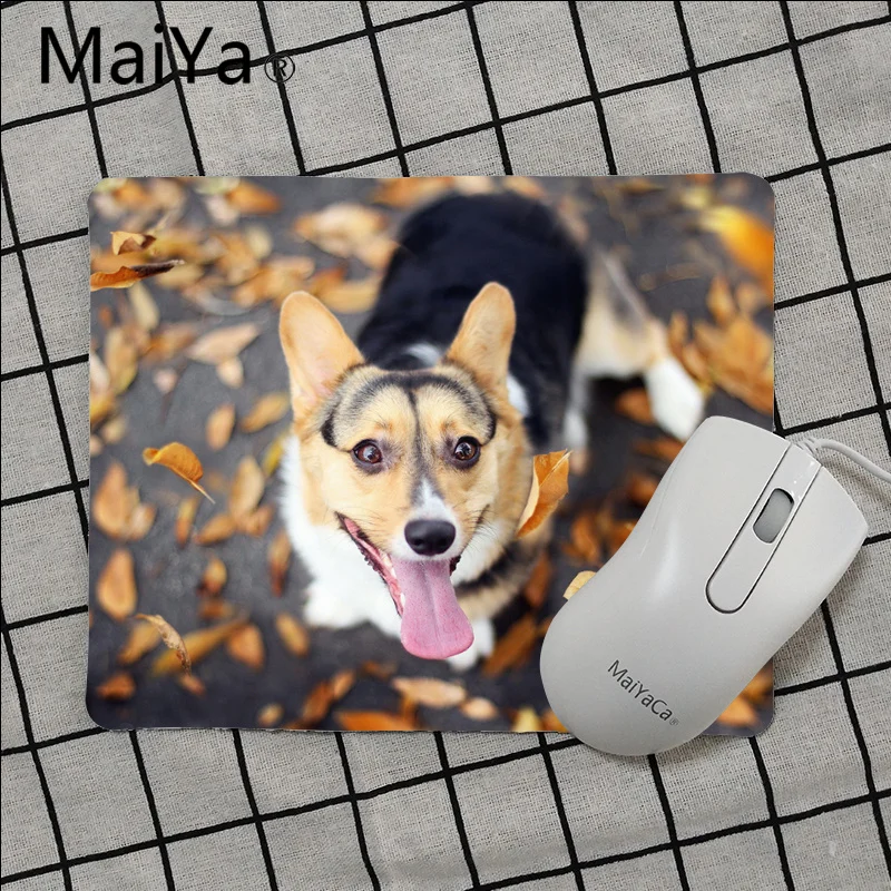 Maiya высокое качество корги собака животные Противоскользящий прочный