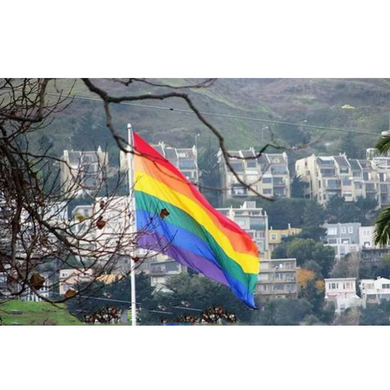 Asexuality Pride флаг ЛГБТ гей Радужный Флаг и баннеры парад полиэстер печатные