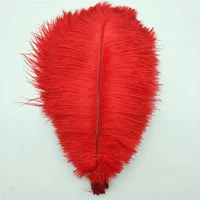 yoyue 10 pcslot natural red ostrich feathers for crafts 15 75cm carnival costumes party home wedding decorations plumes