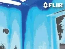 Flir C2 портативная Тепловизионная система тепловая камера, FLIR C2 инфракрасная камера s