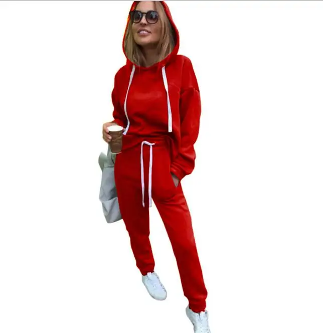 2Pcs Red 8059 Женский костюм, спортивный костюм, женский комплект из 2 предметов, утепленный свитер с капюшоном+ штаны, женский осенний спортивный костюм, комплект - Цвет: 2Pcs Red 8059