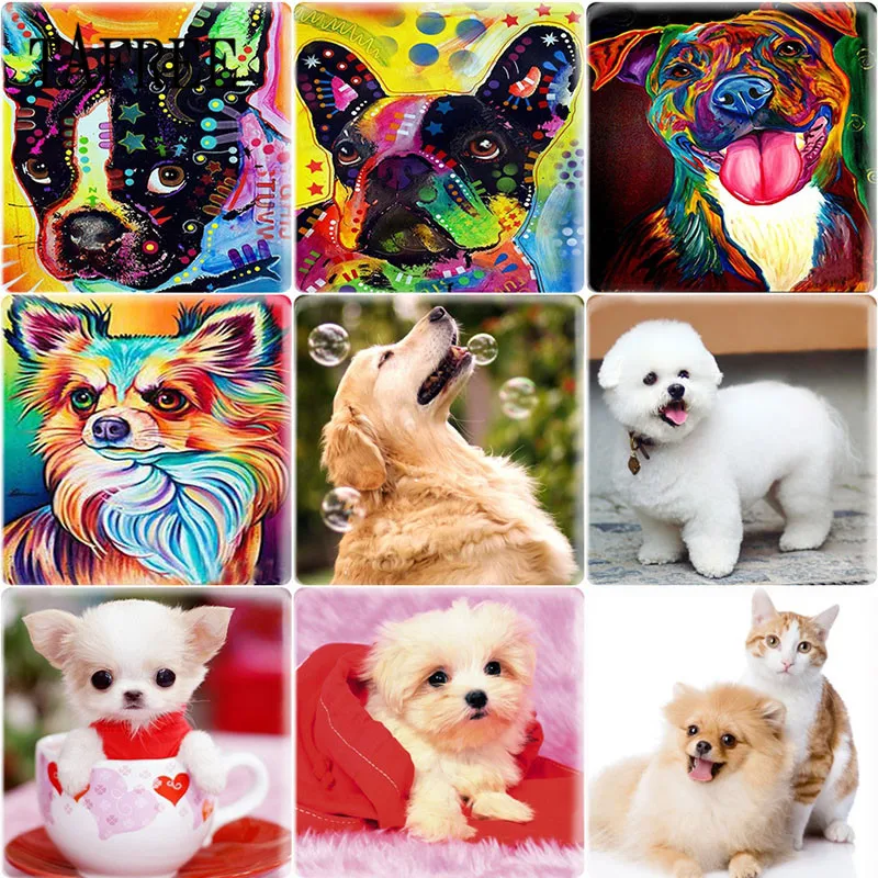 

TAFREE Cute Pet Dog Teacup Poodle Square Glass Cabochon & Glass Dome Cover Pendant Cameo Settings For Keychain Necklace
