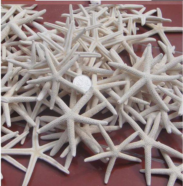 HOT NEW White Starfish Real White Finger Starfish Drapery Hold 2