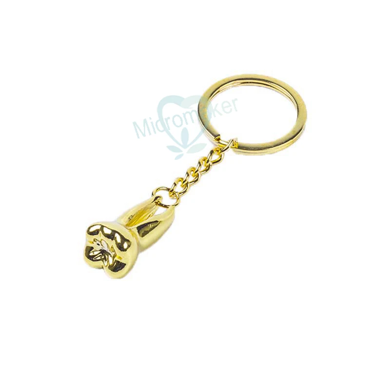 

Teeth Gift Dentist Decoration Key Chains Tooth Model Shape Dental Clinic Small Gift Golden/Sliver Color