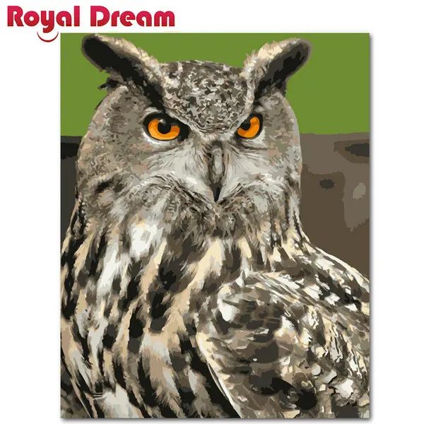 Раскрашивание по номерам Сова сделай сам акриловая краска ручная холст для