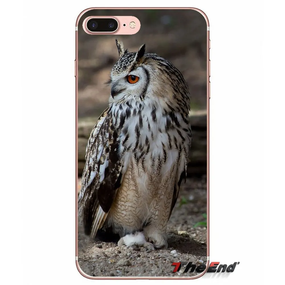 Длинный Ушастый Сова Asio otus Силиконовый ТПУ чехол для iPhone X 4 4S 5 5S 5C SE 6 6S 7 8 Plus Samsung