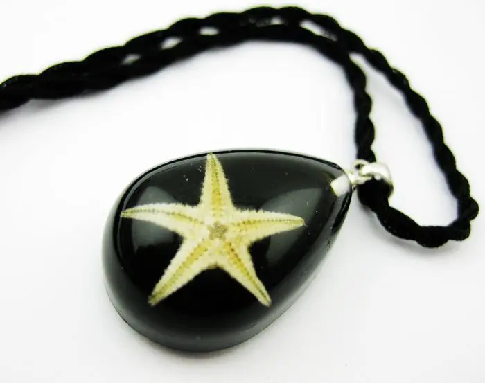 12 шт. в упаковке новые из натуральной кожи черный пояс виде морской звезды с