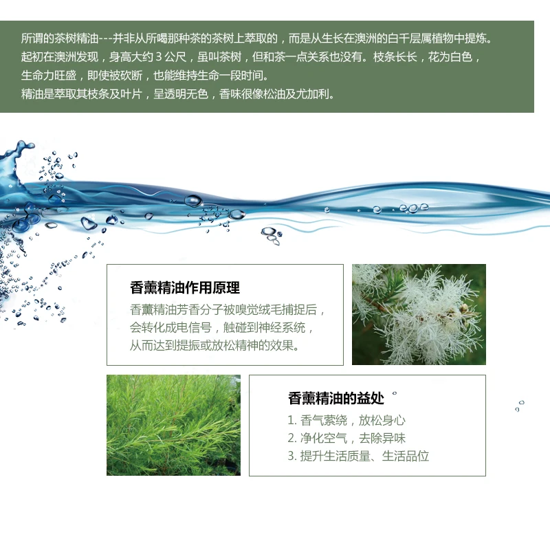 

Australia Tea Tree Water Soluble Essential Oils Skin Care Oil Control Blackhead Removing Anti Acne Improve Foot Odor Clean air