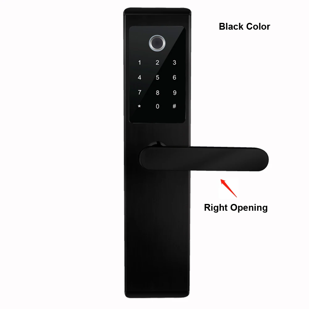 Black-Right opeing Умный биометрический дверной замок из нержавеющей стали с Bluetooth Wifi App для дома - Цвет: Black-Right opeing
