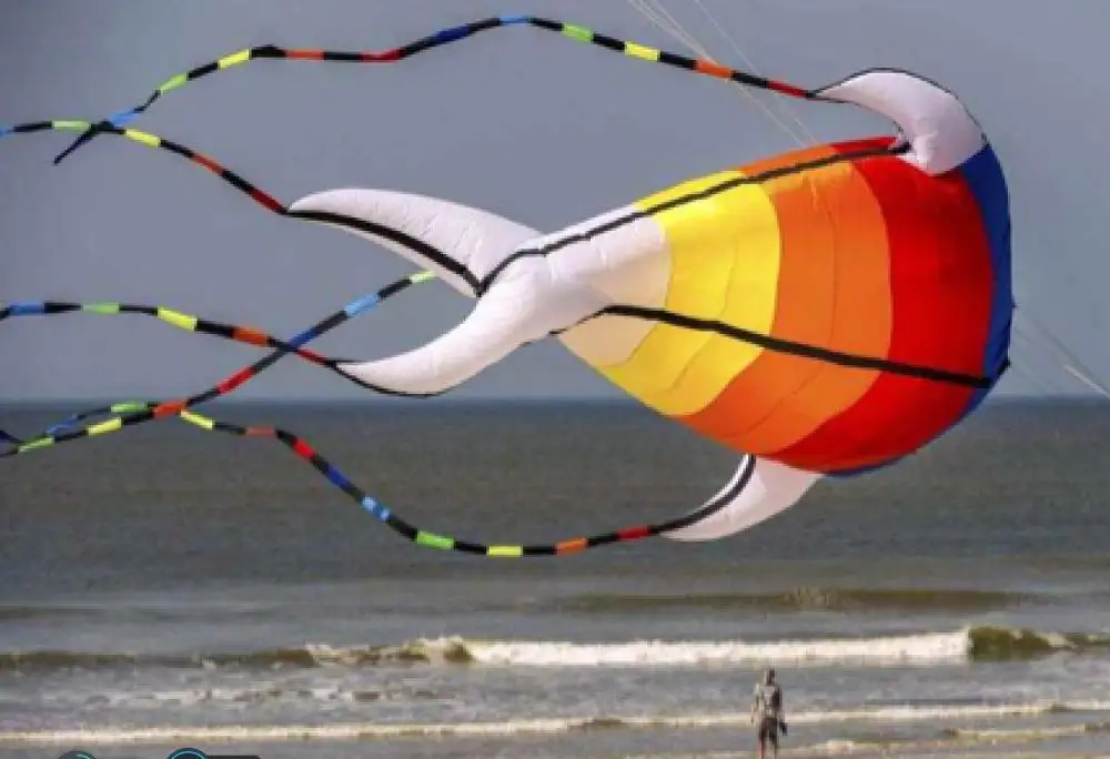 Cerf volant воздушные змеи для взрослых cometa windsock octopus kite koinobori sot игрушки детей ripstop