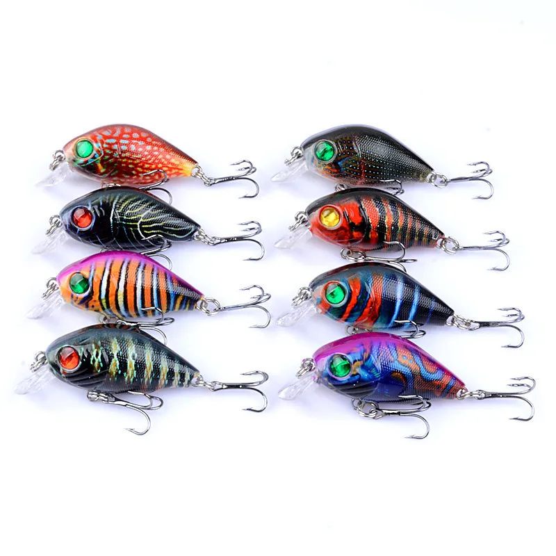 

8 ./ 5,5 /7 Pesca Isca