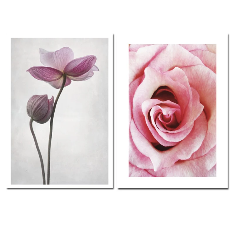 Рисунок Nordic Flower Poster Art Painting Pink Rose Plants Canvas Scandinavian Style Pictures Unframed on.