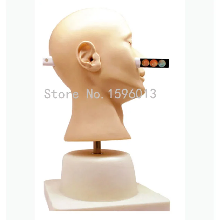 Усовершенствованный ушной диагностический симулятор модель диагностики