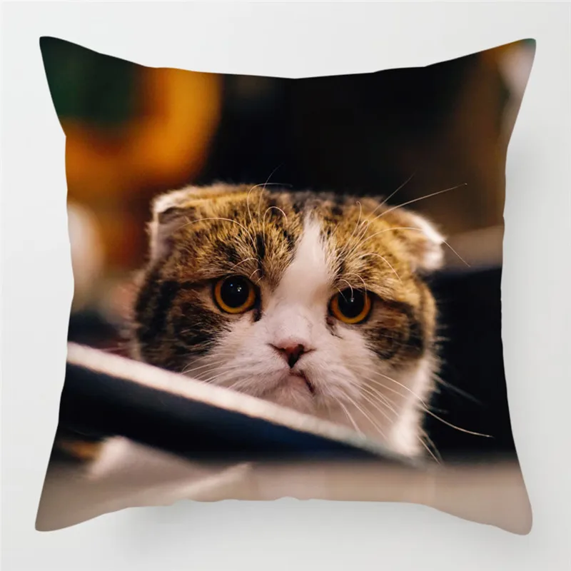 PC07371 Fuwatacchi милый чехол для подушки с кошкой размером 45*45 см канадский голая Наволочки домашние декоративные подушки для дивана, подушка для дома, стула, бросьте, наволочки для подушек - Цвет: PC07371